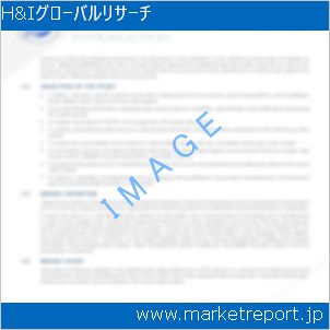 市場と産業調査レポートのイメージ